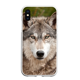 Чехол для iPhone XS Max матовый с принтом Волк в Белгороде, Силикон | Область печати: задняя сторона чехла, без боковых панелей | animal | eyes | forest | predator | wild | wolf | взгляд | волк | дикий | животное | зверь | лес | хищник