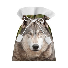 Подарочный 3D мешок с принтом Волк в Белгороде, 100% полиэстер | Размер: 29*39 см | animal | eyes | forest | predator | wild | wolf | взгляд | волк | дикий | животное | зверь | лес | хищник