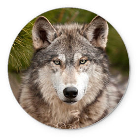 Коврик круглый с принтом Волк в Белгороде, резина и полиэстер | круглая форма, изображение наносится на всю лицевую часть | animal | eyes | forest | predator | wild | wolf | взгляд | волк | дикий | животное | зверь | лес | хищник