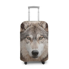 Чехол для чемодана 3D с принтом Волк в Белгороде, 86% полиэфир, 14% спандекс | двустороннее нанесение принта, прорези для ручек и колес | animal | eyes | forest | predator | wild | wolf | взгляд | волк | дикий | животное | зверь | лес | хищник