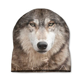 Шапка 3D с принтом Волк в Белгороде, 100% полиэстер | универсальный размер, печать по всей поверхности изделия | Тематика изображения на принте: animal | eyes | forest | predator | wild | wolf | взгляд | волк | дикий | животное | зверь | лес | хищник