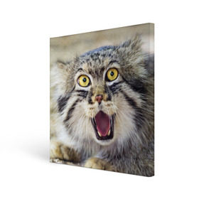 Холст квадратный с принтом Дикий кот в Белгороде, 100% ПВХ |  | Тематика изображения на принте: animal | cat | eyes | jaws | predator | teeth | wild | взгляд | дикий | животное | клыки | кот | пасть | хищник