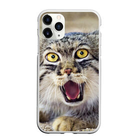 Чехол для iPhone 11 Pro матовый с принтом Дикий кот в Белгороде, Силикон |  | Тематика изображения на принте: animal | cat | eyes | jaws | predator | teeth | wild | взгляд | дикий | животное | клыки | кот | пасть | хищник