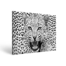 Холст прямоугольный с принтом Леопард в Белгороде, 100% ПВХ |  | animal | eyes | jaws | leopard | malicious | predator | spotted | teeth | wild | взгляд | дикий | животное | злой | клыки | леопард | оскал | пасть | пятнистый | хищник
