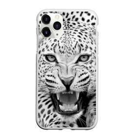 Чехол для iPhone 11 Pro Max матовый с принтом Леопард в Белгороде, Силикон |  | animal | eyes | jaws | leopard | malicious | predator | spotted | teeth | wild | взгляд | дикий | животное | злой | клыки | леопард | оскал | пасть | пятнистый | хищник