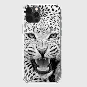 Чехол для iPhone 12 Pro Max с принтом Леопард в Белгороде, Силикон |  | Тематика изображения на принте: animal | eyes | jaws | leopard | malicious | predator | spotted | teeth | wild | взгляд | дикий | животное | злой | клыки | леопард | оскал | пасть | пятнистый | хищник
