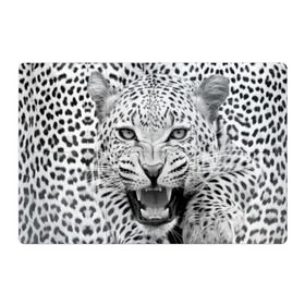 Магнитный плакат 3Х2 с принтом Леопард в Белгороде, Полимерный материал с магнитным слоем | 6 деталей размером 9*9 см | Тематика изображения на принте: animal | eyes | jaws | leopard | malicious | predator | spotted | teeth | wild | взгляд | дикий | животное | злой | клыки | леопард | оскал | пасть | пятнистый | хищник