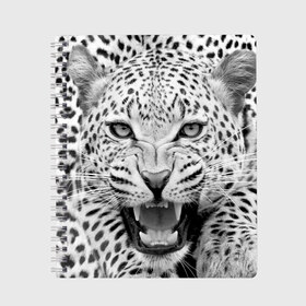 Тетрадь с принтом Леопард в Белгороде, 100% бумага | 48 листов, плотность листов — 60 г/м2, плотность картонной обложки — 250 г/м2. Листы скреплены сбоку удобной пружинной спиралью. Уголки страниц и обложки скругленные. Цвет линий — светло-серый
 | animal | eyes | jaws | leopard | malicious | predator | spotted | teeth | wild | взгляд | дикий | животное | злой | клыки | леопард | оскал | пасть | пятнистый | хищник