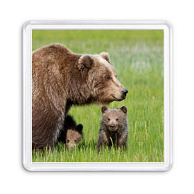 Магнит 55*55 с принтом Медведи в Белгороде, Пластик | Размер: 65*65 мм; Размер печати: 55*55 мм | animals | bears | children | family | green | meadow | mother | predators | дети | животные | зеленая | мама | медведи | поляна | семья | хищники