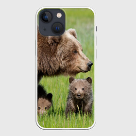 Чехол для iPhone 13 mini с принтом Медведи в Белгороде,  |  | animals | bears | children | family | green | meadow | mother | predators | дети | животные | зеленая | мама | медведи | поляна | семья | хищники