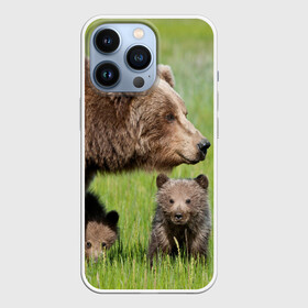 Чехол для iPhone 13 Pro с принтом Медведи в Белгороде,  |  | animals | bears | children | family | green | meadow | mother | predators | дети | животные | зеленая | мама | медведи | поляна | семья | хищники