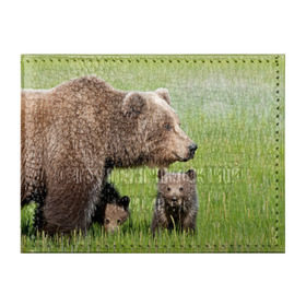 Обложка для студенческого билета с принтом Медведи в Белгороде, натуральная кожа | Размер: 11*8 см; Печать на всей внешней стороне | animals | bears | children | family | green | meadow | mother | predators | дети | животные | зеленая | мама | медведи | поляна | семья | хищники