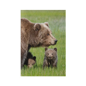 Обложка для паспорта матовая кожа с принтом Медведи в Белгороде, натуральная матовая кожа | размер 19,3 х 13,7 см; прозрачные пластиковые крепления | animals | bears | children | family | green | meadow | mother | predators | дети | животные | зеленая | мама | медведи | поляна | семья | хищники