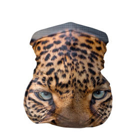 Бандана-труба 3D с принтом Леопард в Белгороде, 100% полиэстер, ткань с особыми свойствами — Activecool | плотность 150‒180 г/м2; хорошо тянется, но сохраняет форму | animal | leopard | look | predator | spotted | wild | взгляд | дикий | животное | леопард | пятнистый | хищник