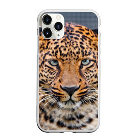 Чехол для iPhone 11 Pro Max матовый с принтом Леопард в Белгороде, Силикон |  | animal | leopard | look | predator | spotted | wild | взгляд | дикий | животное | леопард | пятнистый | хищник
