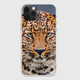 Чехол для iPhone 12 Pro Max с принтом Леопард в Белгороде, Силикон |  | Тематика изображения на принте: animal | leopard | look | predator | spotted | wild | взгляд | дикий | животное | леопард | пятнистый | хищник