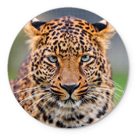 Коврик круглый с принтом Леопард в Белгороде, резина и полиэстер | круглая форма, изображение наносится на всю лицевую часть | animal | leopard | look | predator | spotted | wild | взгляд | дикий | животное | леопард | пятнистый | хищник