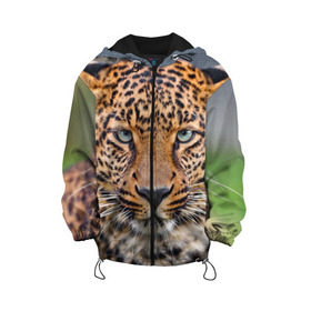 Детская куртка 3D с принтом Леопард в Белгороде, 100% полиэстер | застежка — молния, подол и капюшон оформлены резинкой с фиксаторами, по бокам — два кармана без застежек, один потайной карман на груди, плотность верхнего слоя — 90 г/м2; плотность флисового подклада — 260 г/м2 | Тематика изображения на принте: animal | leopard | look | predator | spotted | wild | взгляд | дикий | животное | леопард | пятнистый | хищник