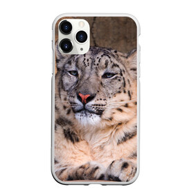 Чехол для iPhone 11 Pro Max матовый с принтом Леопард в Белгороде, Силикон |  | animal | leopard | look | predator | spotted | wild | взгляд | дикий | животное | леопард | пятнистый | хищник