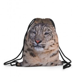 Рюкзак-мешок 3D с принтом Леопард в Белгороде, 100% полиэстер | плотность ткани — 200 г/м2, размер — 35 х 45 см; лямки — толстые шнурки, застежка на шнуровке, без карманов и подкладки | animal | leopard | look | predator | spotted | wild | взгляд | дикий | животное | леопард | пятнистый | хищник