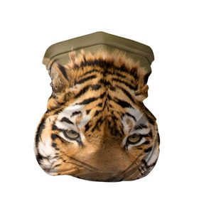 Бандана-труба 3D с принтом Тигр в Белгороде, 100% полиэстер, ткань с особыми свойствами — Activecool | плотность 150‒180 г/м2; хорошо тянется, но сохраняет форму | animal | predator | striped | tiger | view | wild | взгляд | дикий | животное | полосатый | тигр | хищник