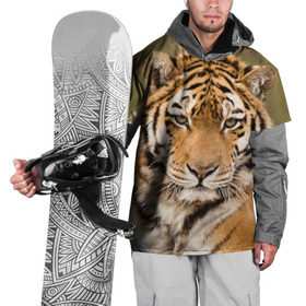 Накидка на куртку 3D с принтом Тигр в Белгороде, 100% полиэстер |  | animal | predator | striped | tiger | view | wild | взгляд | дикий | животное | полосатый | тигр | хищник