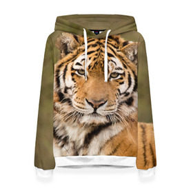 Женская толстовка 3D с принтом Тигр в Белгороде, 100% полиэстер  | двухслойный капюшон со шнурком для регулировки, мягкие манжеты на рукавах и по низу толстовки, спереди карман-кенгуру с мягким внутренним слоем. | animal | predator | striped | tiger | view | wild | взгляд | дикий | животное | полосатый | тигр | хищник