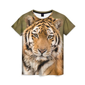 Женская футболка 3D с принтом Тигр в Белгороде, 100% полиэфир ( синтетическое хлопкоподобное полотно) | прямой крой, круглый вырез горловины, длина до линии бедер | animal | predator | striped | tiger | view | wild | взгляд | дикий | животное | полосатый | тигр | хищник