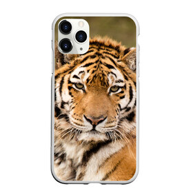 Чехол для iPhone 11 Pro матовый с принтом Тигр в Белгороде, Силикон |  | Тематика изображения на принте: animal | predator | striped | tiger | view | wild | взгляд | дикий | животное | полосатый | тигр | хищник