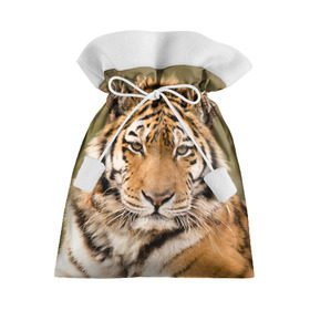 Подарочный 3D мешок с принтом Тигр в Белгороде, 100% полиэстер | Размер: 29*39 см | animal | predator | striped | tiger | view | wild | взгляд | дикий | животное | полосатый | тигр | хищник