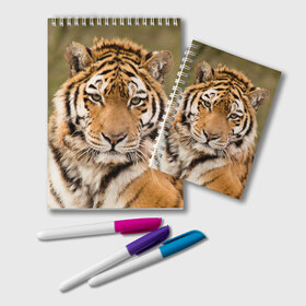 Блокнот с принтом Тигр в Белгороде, 100% бумага | 48 листов, плотность листов — 60 г/м2, плотность картонной обложки — 250 г/м2. Листы скреплены удобной пружинной спиралью. Цвет линий — светло-серый
 | Тематика изображения на принте: animal | predator | striped | tiger | view | wild | взгляд | дикий | животное | полосатый | тигр | хищник