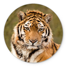 Коврик круглый с принтом Тигр в Белгороде, резина и полиэстер | круглая форма, изображение наносится на всю лицевую часть | Тематика изображения на принте: animal | predator | striped | tiger | view | wild | взгляд | дикий | животное | полосатый | тигр | хищник