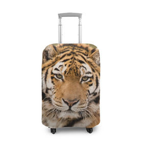 Чехол для чемодана 3D с принтом Тигр в Белгороде, 86% полиэфир, 14% спандекс | двустороннее нанесение принта, прорези для ручек и колес | animal | predator | striped | tiger | view | wild | взгляд | дикий | животное | полосатый | тигр | хищник
