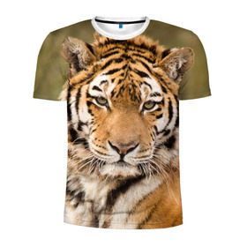 Мужская футболка 3D спортивная с принтом Тигр в Белгороде, 100% полиэстер с улучшенными характеристиками | приталенный силуэт, круглая горловина, широкие плечи, сужается к линии бедра | animal | predator | striped | tiger | view | wild | взгляд | дикий | животное | полосатый | тигр | хищник