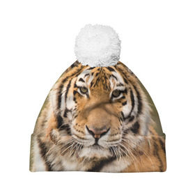 Шапка 3D c помпоном с принтом Тигр в Белгороде, 100% полиэстер | универсальный размер, печать по всей поверхности изделия | animal | predator | striped | tiger | view | wild | взгляд | дикий | животное | полосатый | тигр | хищник