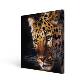 Холст квадратный с принтом Леопард в Белгороде, 100% ПВХ |  | Тематика изображения на принте: animal | leopard | look | predator | spotted | wild | взгляд | дикий | животное | леопард | пятнистый | хищник