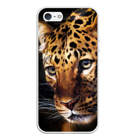 Чехол для iPhone 5/5S матовый с принтом Леопард в Белгороде, Силикон | Область печати: задняя сторона чехла, без боковых панелей | animal | leopard | look | predator | spotted | wild | взгляд | дикий | животное | леопард | пятнистый | хищник