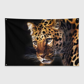Флаг-баннер с принтом Леопард в Белгороде, 100% полиэстер | размер 67 х 109 см, плотность ткани — 95 г/м2; по краям флага есть четыре люверса для крепления | animal | leopard | look | predator | spotted | wild | взгляд | дикий | животное | леопард | пятнистый | хищник