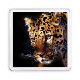 Магнит 55*55 с принтом Леопард в Белгороде, Пластик | Размер: 65*65 мм; Размер печати: 55*55 мм | Тематика изображения на принте: animal | leopard | look | predator | spotted | wild | взгляд | дикий | животное | леопард | пятнистый | хищник
