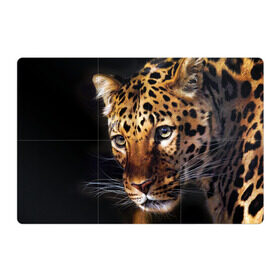 Магнитный плакат 3Х2 с принтом Леопард в Белгороде, Полимерный материал с магнитным слоем | 6 деталей размером 9*9 см | Тематика изображения на принте: animal | leopard | look | predator | spotted | wild | взгляд | дикий | животное | леопард | пятнистый | хищник