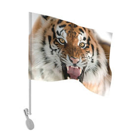 Флаг для автомобиля с принтом Тигр в Белгороде, 100% полиэстер | Размер: 30*21 см | animal | predator | striped | tiger | view | wild | взгляд | дикий | животное | полосатый | тигр | хищник