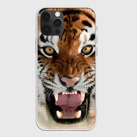 Чехол для iPhone 12 Pro Max с принтом Тигр в Белгороде, Силикон |  | Тематика изображения на принте: animal | predator | striped | tiger | view | wild | взгляд | дикий | животное | полосатый | тигр | хищник