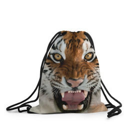 Рюкзак-мешок 3D с принтом Тигр в Белгороде, 100% полиэстер | плотность ткани — 200 г/м2, размер — 35 х 45 см; лямки — толстые шнурки, застежка на шнуровке, без карманов и подкладки | animal | predator | striped | tiger | view | wild | взгляд | дикий | животное | полосатый | тигр | хищник