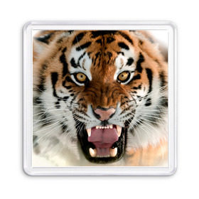 Магнит 55*55 с принтом Тигр в Белгороде, Пластик | Размер: 65*65 мм; Размер печати: 55*55 мм | Тематика изображения на принте: animal | predator | striped | tiger | view | wild | взгляд | дикий | животное | полосатый | тигр | хищник