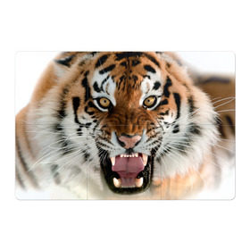 Магнитный плакат 3Х2 с принтом Тигр в Белгороде, Полимерный материал с магнитным слоем | 6 деталей размером 9*9 см | Тематика изображения на принте: animal | predator | striped | tiger | view | wild | взгляд | дикий | животное | полосатый | тигр | хищник