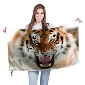 Флаг 3D с принтом Тигр в Белгороде, 100% полиэстер | плотность ткани — 95 г/м2, размер — 67 х 109 см. Принт наносится с одной стороны | animal | predator | striped | tiger | view | wild | взгляд | дикий | животное | полосатый | тигр | хищник