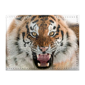 Обложка для студенческого билета с принтом Тигр в Белгороде, натуральная кожа | Размер: 11*8 см; Печать на всей внешней стороне | animal | predator | striped | tiger | view | wild | взгляд | дикий | животное | полосатый | тигр | хищник