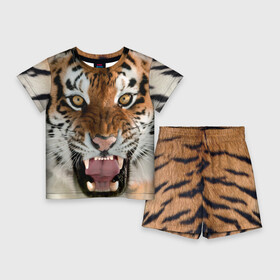 Детский костюм с шортами 3D с принтом Тигр в Белгороде,  |  | animal | predator | striped | tiger | view | wild | взгляд | дикий | животное | полосатый | тигр | хищник