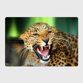 Магнитный плакат 3Х2 с принтом Леопард в Белгороде, Полимерный материал с магнитным слоем | 6 деталей размером 9*9 см | animal | leopard | look | predator | spotted | wild | взгляд | дикий | животное | леопард | пятнистый | хищник