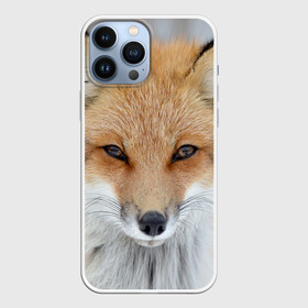 Чехол для iPhone 13 Pro Max с принтом Лиса в Белгороде,  |  | animal | baby | fox | look | predator | red | sly | wild | взгляд | дикая | животное | лиса | малыш | рыжая | хитрая | хищник